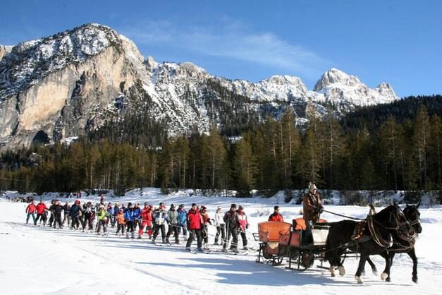 Cavalli che trainano una carovana di sciatori sulla piana dell'Armentarola verso San Cassiano