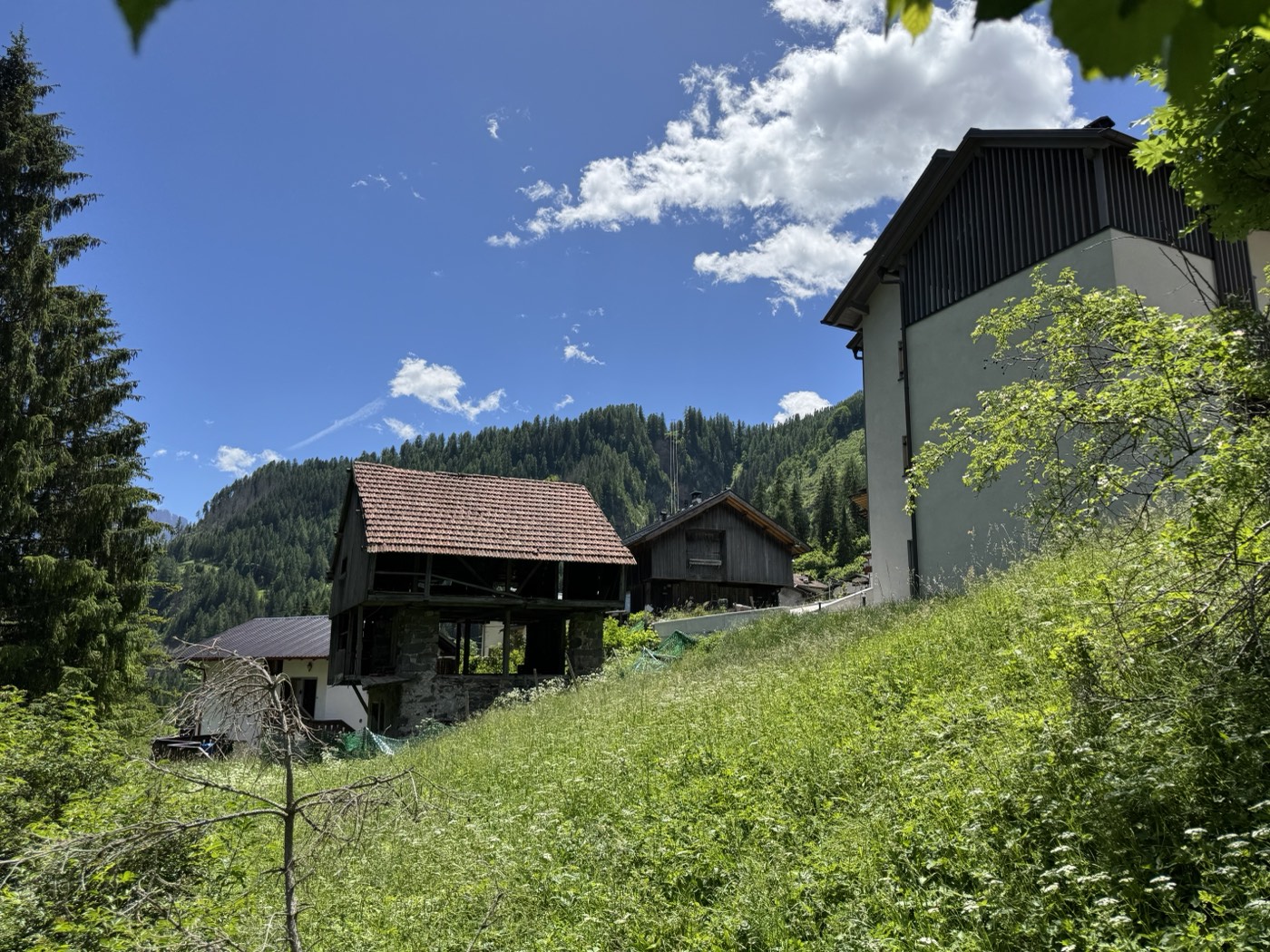 Prati e montagne intorno a Digonera in estate