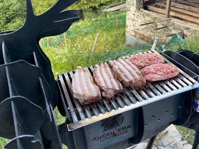 Carne e salsicce sulla griglia del barbecue